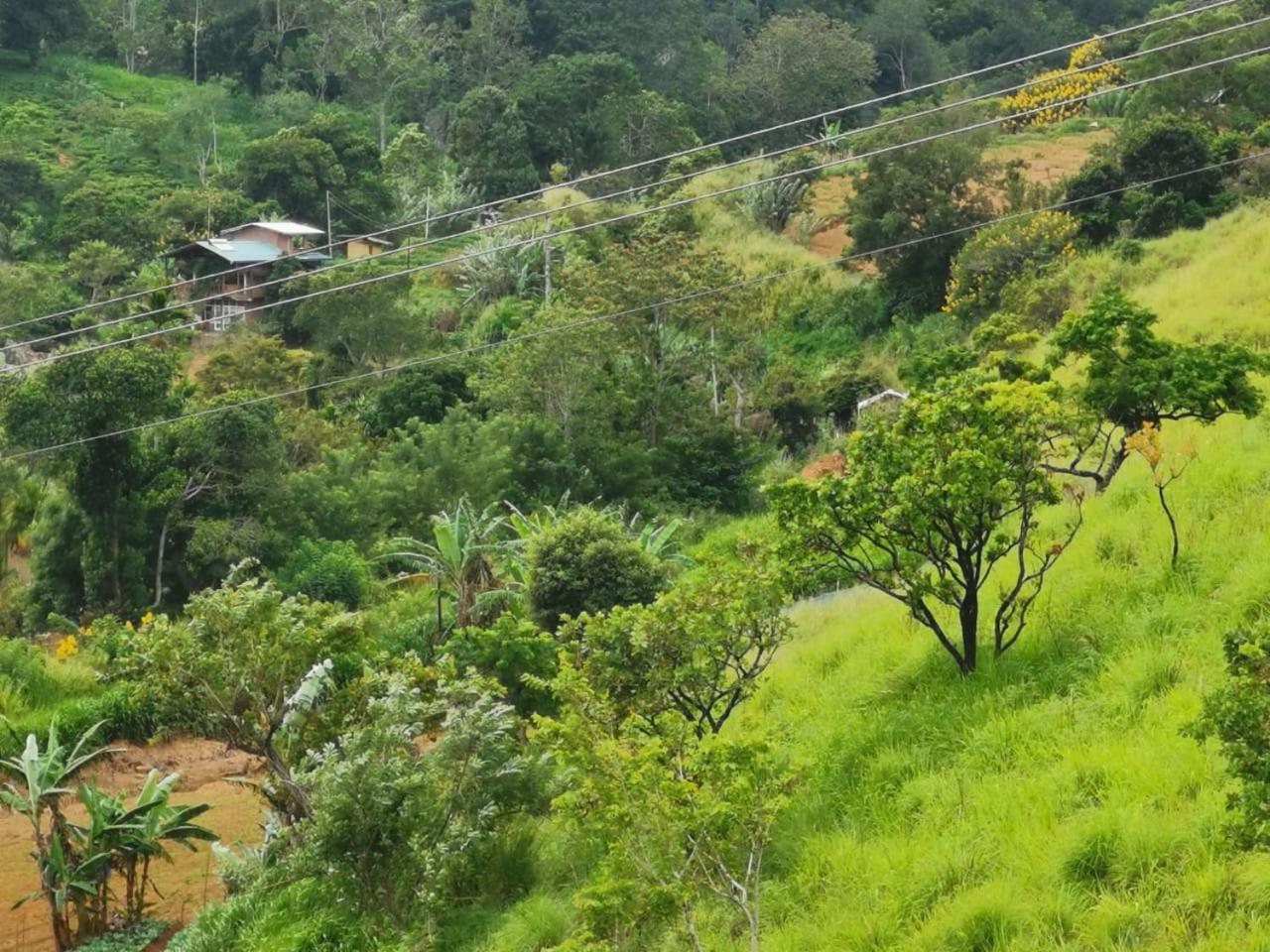 The Diary Hotel Ella Luaran gambar